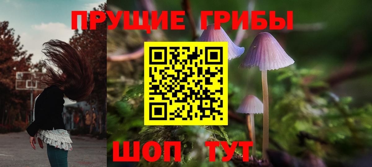 Видное  Галлюциногенные грибы мицелий  Вход с VPN  Галлюциногенные грибы GOLDEN TEACHER 