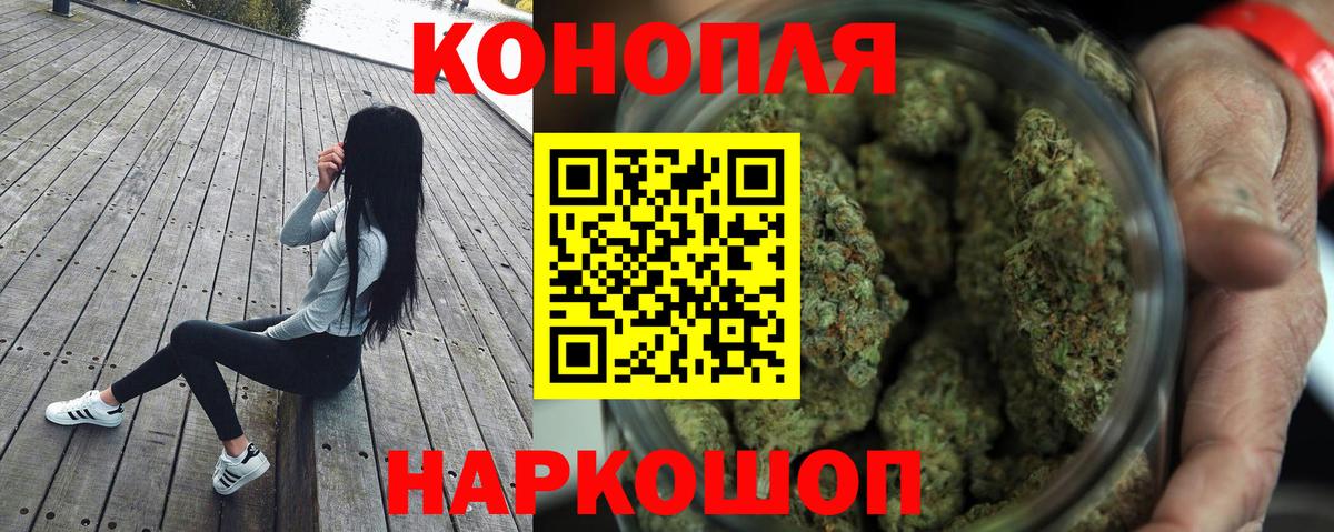 Канабис White Widow  Каннабис план  Видное  Вход с VPN  Бошки марихуана Amnesia 